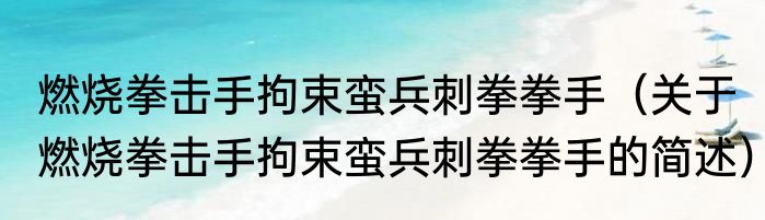 燃烧拳击手拘束蛮兵刺拳拳手（关于燃烧拳击手拘束蛮兵刺拳拳手的简述）