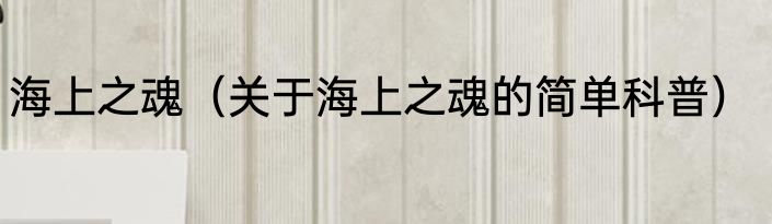 海上之魂（关于海上之魂的简单科普）
