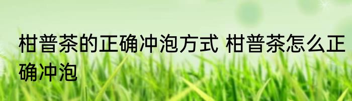 柑普茶的正确冲泡方式 柑普茶怎么正确冲泡