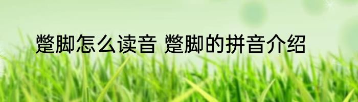 蹩脚怎么读音 蹩脚的拼音介绍