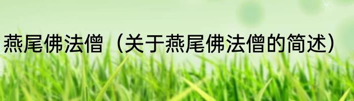 燕尾佛法僧（关于燕尾佛法僧的简述）