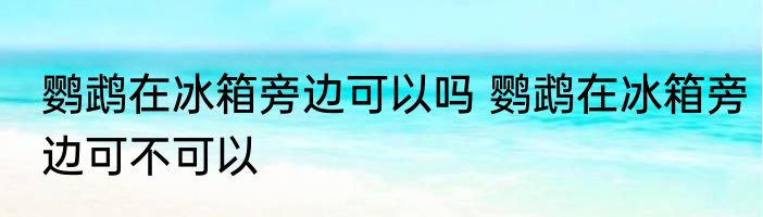 鹦鹉在冰箱旁边可以吗 鹦鹉在冰箱旁边可不可以