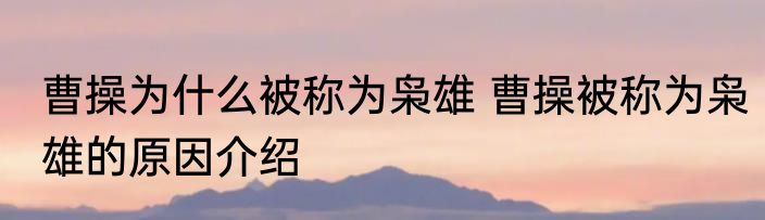 曹操为什么被称为枭雄 曹操被称为枭雄的原因介绍
