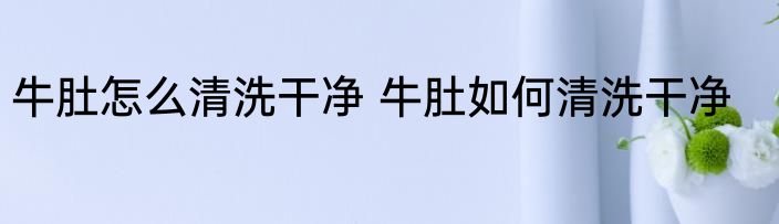 牛肚怎么清洗干净 牛肚如何清洗干净