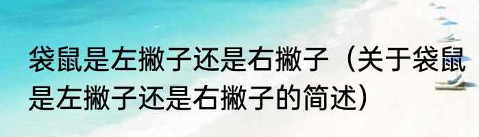 袋鼠是左撇子还是右撇子（关于袋鼠是左撇子还是右撇子的简述）