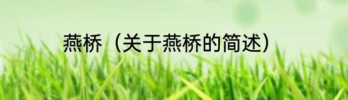 燕桥（关于燕桥的简述）