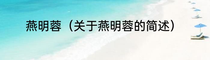 燕明蓉（关于燕明蓉的简述）