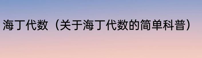 海丁代数（关于海丁代数的简单科普）