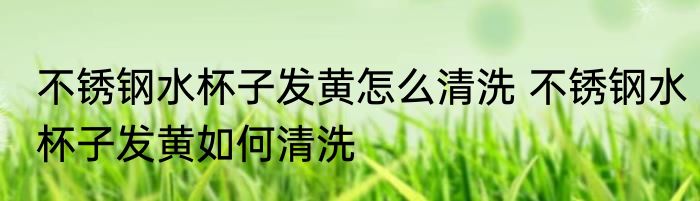 不锈钢水杯子发黄怎么清洗 不锈钢水杯子发黄如何清洗