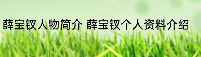 薛宝钗人物简介 薛宝钗个人资料介绍