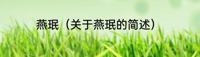 燕珉（关于燕珉的简述）