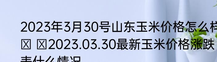 2023年3月30号山东玉米价格怎么样   2023.03.30最新玉米价格涨跌表什么情况