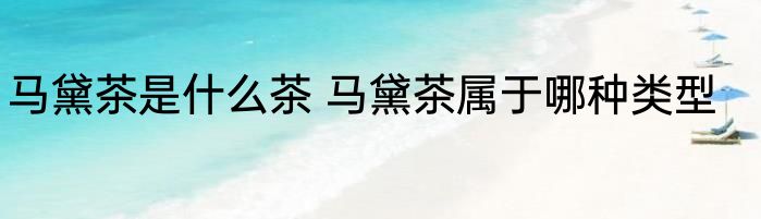 马黛茶是什么茶 马黛茶属于哪种类型