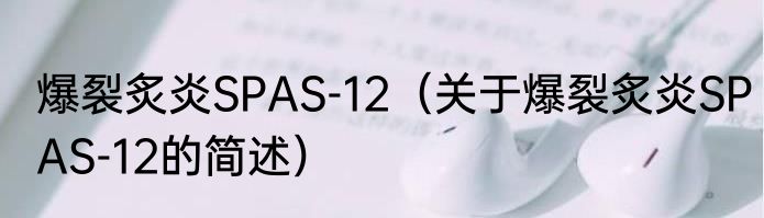 爆裂炙炎SPAS-12（关于爆裂炙炎SPAS-12的简述）