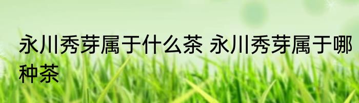 永川秀芽属于什么茶 永川秀芽属于哪种茶