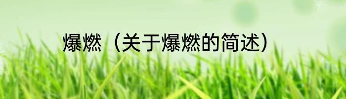 爆燃（关于爆燃的简述）