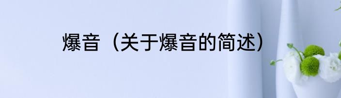 爆音（关于爆音的简述）