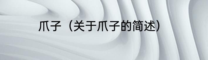 爪子（关于爪子的简述）