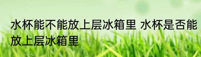 水杯能不能放上层冰箱里 水杯是否能放上层冰箱里