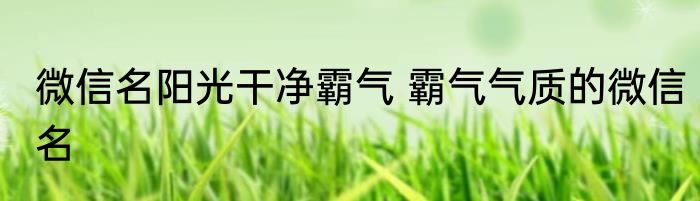微信名阳光干净霸气 霸气气质的微信名
