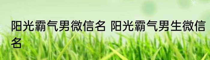 阳光霸气男微信名 阳光霸气男生微信名