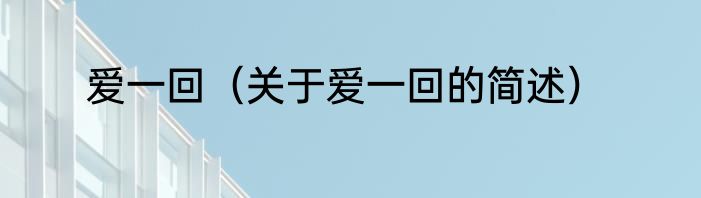 爱一回（关于爱一回的简述）