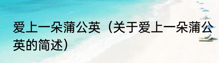 爱上一朵蒲公英（关于爱上一朵蒲公英的简述）