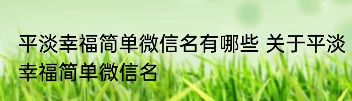平淡幸福简单微信名有哪些 关于平淡幸福简单微信名