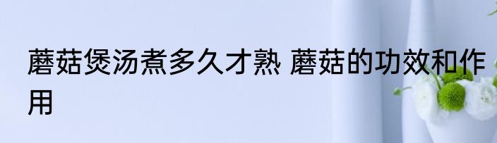 蘑菇煲汤煮多久才熟 蘑菇的功效和作用