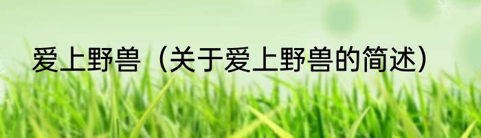 爱上野兽（关于爱上野兽的简述）
