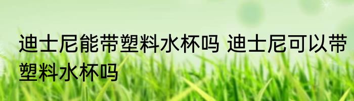 迪士尼能带塑料水杯吗 迪士尼可以带塑料水杯吗