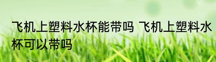 飞机上塑料水杯能带吗 飞机上塑料水杯可以带吗