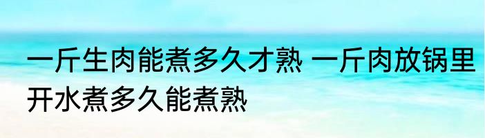 一斤生肉能煮多久才熟 一斤肉放锅里开水煮多久能煮熟