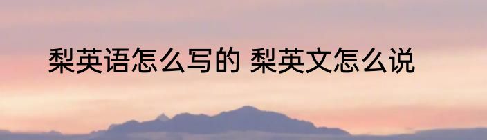 梨英语怎么写的 梨英文怎么说