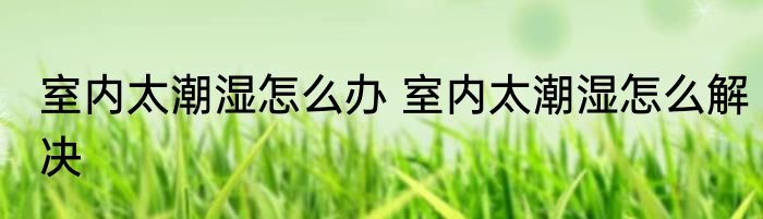 室内太潮湿怎么办 室内太潮湿怎么解决
