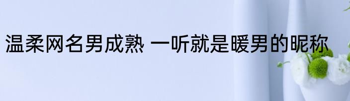 温柔网名男成熟 一听就是暖男的昵称