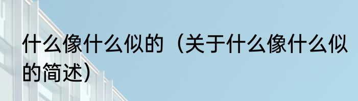 什么像什么似的（关于什么像什么似的简述）