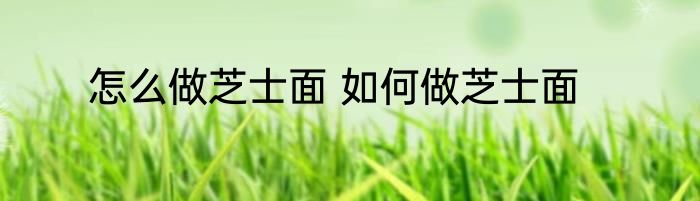 怎么做芝士面 如何做芝士面