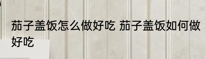 茄子盖饭怎么做好吃 茄子盖饭如何做好吃