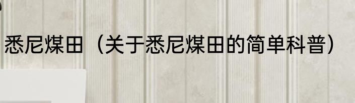 悉尼煤田（关于悉尼煤田的简单科普）