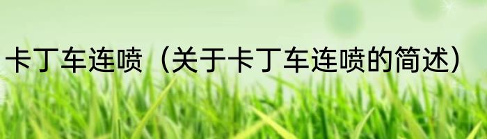 卡丁车连喷（关于卡丁车连喷的简述）