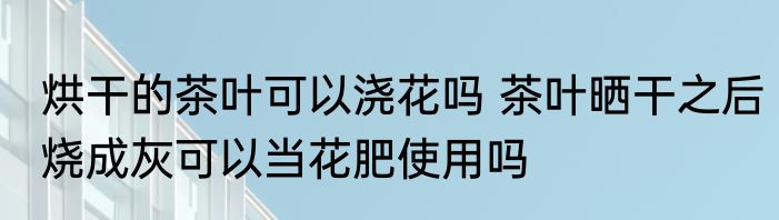 烘干的茶叶可以浇花吗 茶叶晒干之后烧成灰可以当花肥使用吗