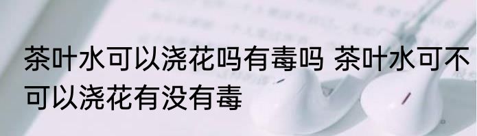 茶叶水可以浇花吗有毒吗 茶叶水可不可以浇花有没有毒