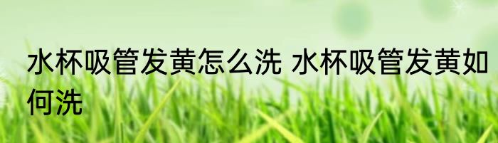 水杯吸管发黄怎么洗 水杯吸管发黄如何洗