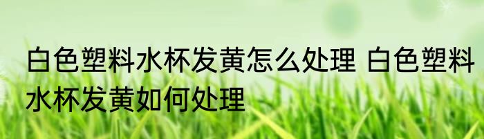 白色塑料水杯发黄怎么处理 白色塑料水杯发黄如何处理