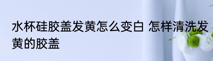 水杯硅胶盖发黄怎么变白 怎样清洗发黄的胶盖