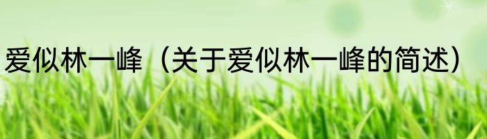 爱似林一峰（关于爱似林一峰的简述）