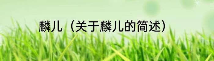 麟儿（关于麟儿的简述）