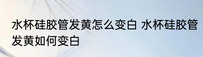 水杯硅胶管发黄怎么变白 水杯硅胶管发黄如何变白