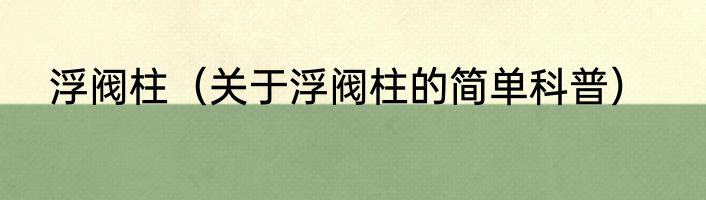 浮阀柱（关于浮阀柱的简单科普）
